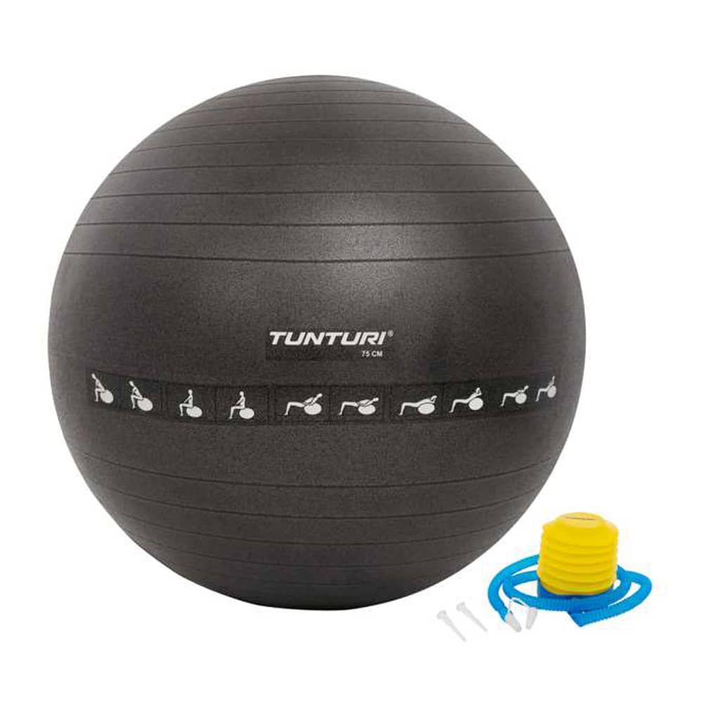 Tunturi Gymball 75 cm schwarz anti burst